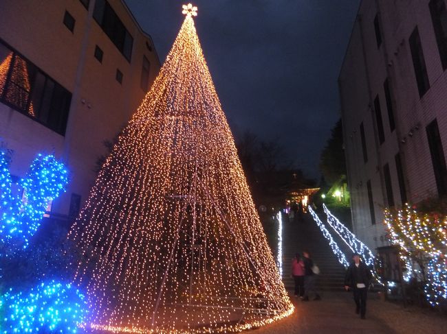 猿沢池から近鉄奈良駅まで向かいます。途中にキレイなイルミネーションがありました。日本聖公会奈良基督教会でした。