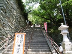 JR和歌山駅までバスで移動。昼食の後、紀三井寺へ。この階段をみて、横にいたご夫婦は卒倒気味でした。途中でさすがに一回休憩しました。