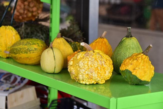 これも南瓜。<br /><br />日本のスーパーで売られている南瓜の種類って少ないけど、こんなに色んな南瓜があるのですね。<br /><br />南瓜好きなので気になります。