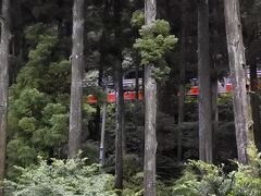 部屋からの眺望。
深夜まで箱根登山鉄道の独特の走行音が響く。