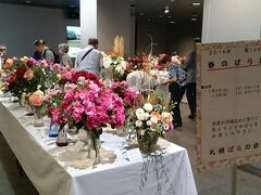 帰りの地下歩行空間でも「札幌ばらの会」の「春のばら展」が開催中