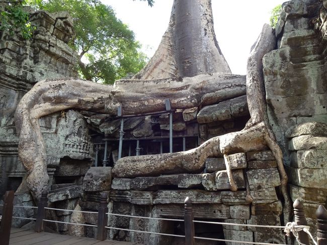 何故、ここの遺跡だけこの状況なんでしょうか。