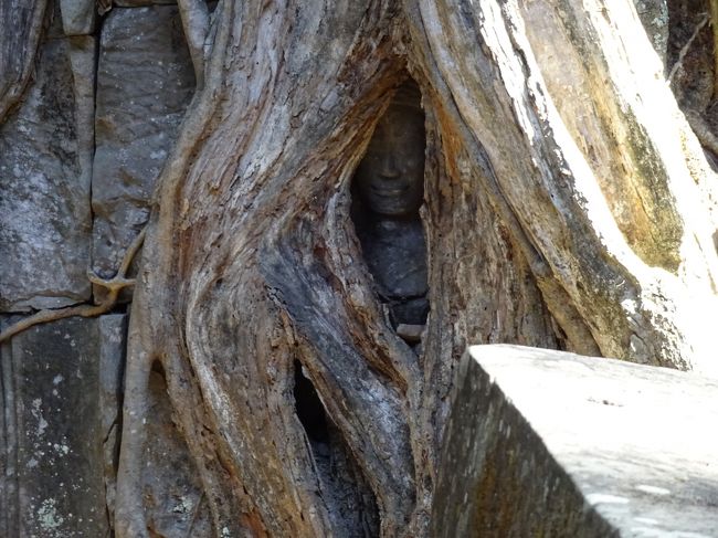 アユタヤにもあったね。