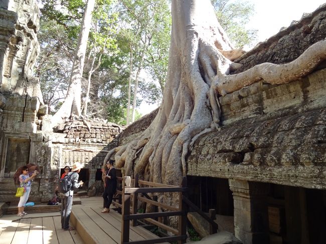 ここも、人気スポットのよう