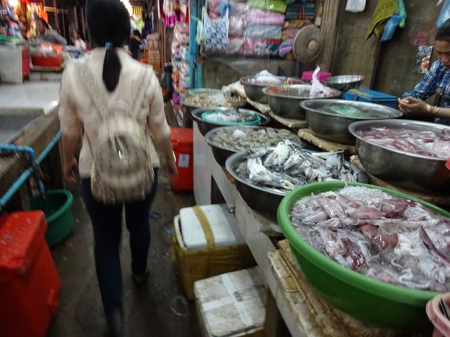 さかな、さかな、さかな