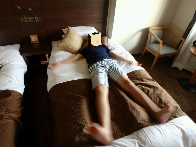 シングルで添い寝は無理・・・<br />でもエキストラベッドを入れたら身動き取れないし(-_-;)<br />添い寝も今年が最後だ(^_^;)<br /><br />外出中に設置をしてもらうことにしました。