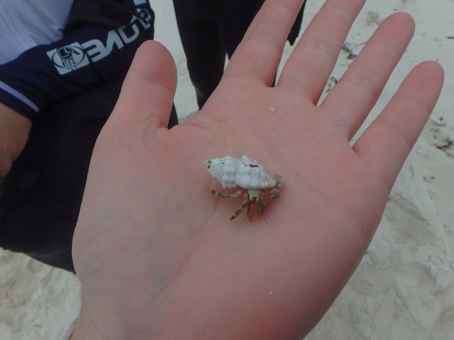 やどかり〜<br /><br />マンタのいる深い海に行く前に、足の着く海でスノーケル練習をさせてくれます。<br />これが、念願のクマノミにも会える海で！て言うので決めたツアーだったんですが・・・