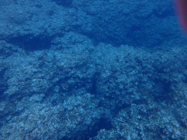天気も良くないし、怖い雰囲気を感じながらも、去年もこんな天気で泳いだ事を思い出しながら、マンタに向かって、GOGO！