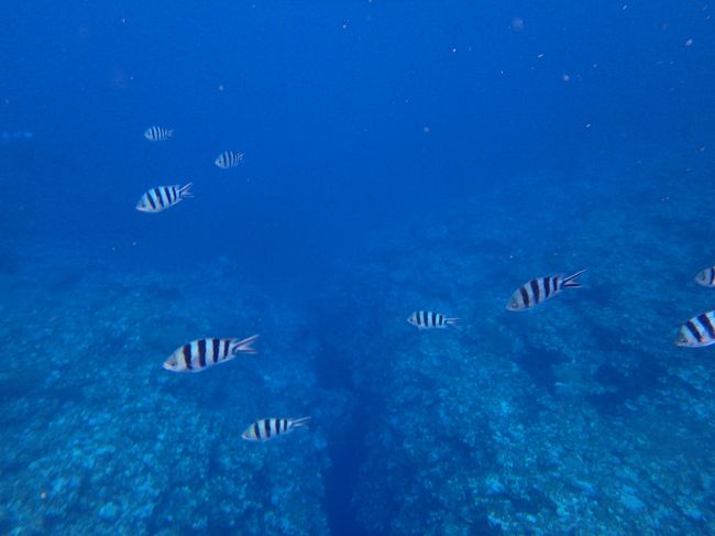 水深１0〜２０メートル？