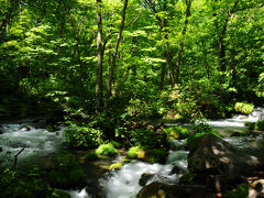 さらに歩いて行くと、箱庭のような景色が現れた。流れの中の岩に樹々が生い茂り、何とも言えない風情がある。後で調べてみると、『九十九島』と言うそうだ。