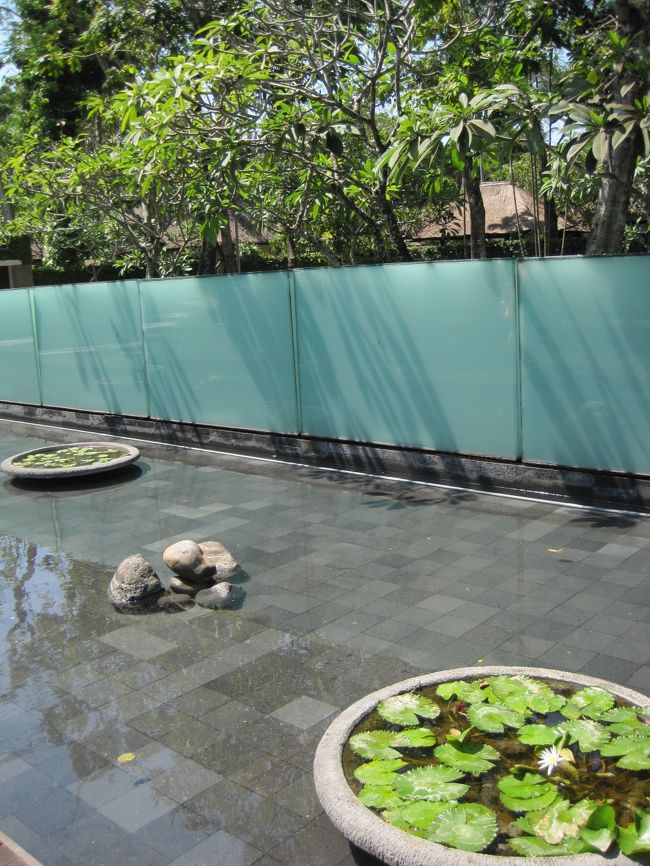 フロント前の池は　浅め。<br />更に水盆の中にはロータスが。