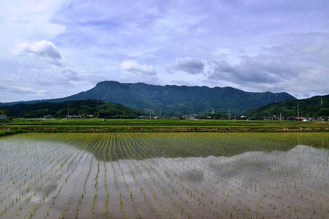 雨が止んだ日に八面山へ』耶馬溪・中津・玖珠(大分県)の旅行記・ブログ