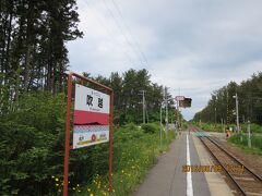 日本一の菜の花畑で有名な横浜に近い無人駅で直線の線路とホーム脇の黄色い小花（タンポポ系？）が余りにかわいいので思わず撮った一枚です。

この後、湧水亭でドーナッツに舌鼓を打ち道の駅よこはまでボリュームいっぱいの帆立フライカレーとミックスフライ定食で満腹（1900円）
帆立が有名なだけあってここの帆立フライは家族に食べさせたい位美味しかったけどカキフライは一口食べて残しました。
