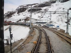 Myrdal（ミュルダール）
フロム山岳鉄道の終点であり起点でもある。

ノルウェー・ナットシェルはオーダー時にカスタムできので、ここで降りてフロム鉄道に乗ってフィヨルドツアーに向かうこともできる。
そのパターンの人が多いようで、この駅では大勢の旅客が降りた。

ちなみにホームが短く最後列の９号車、１０号車からは降車できないので、駅に到着後に慌てて前の方の車両へ向かって行く人が多数いた。

我々はそのままベルゲンへと目指す。