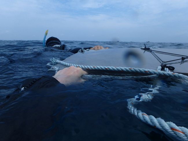 こんな風に、ガイドさんが長方形の板を掴んで誘導してくれます。<br />私達は、手前で３人横並び。