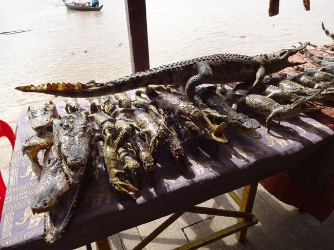 彼らは、このようになるようです。