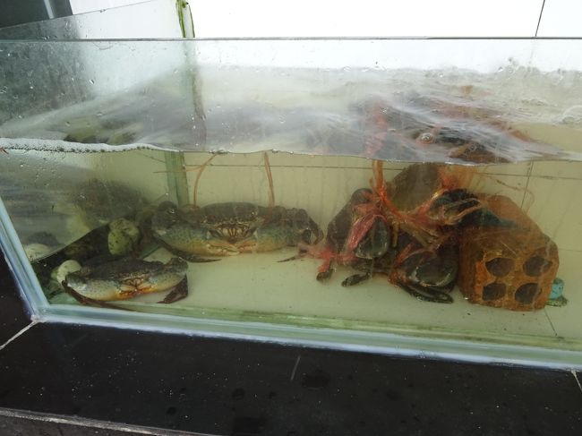 海鮮食べられる所知っている？と伝えていたのでここ。<br />生け簀料理想定していませんでした。＄１００あれば間に合うと思い、余分なお金は、金庫に残し。<br />でも、扉にＪＣＢ、ＶＩＳＡのシールを見つけたので安心。<br />ベトナム、カンボジアで驚くことにＪＣＢ使えます。<br />真ん中の挑戦的な、１．５Ｋｇの蟹さんと