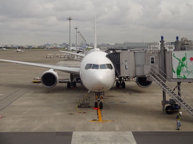 東京は、６月なのに気温２０度