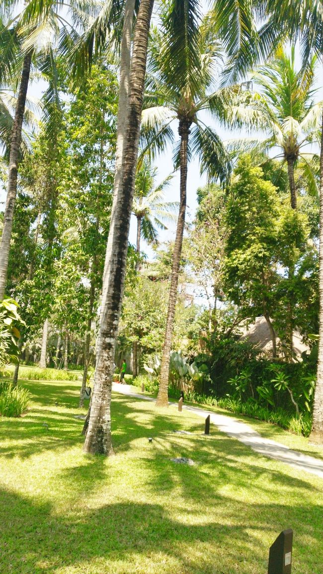 グリーンが目にまぶしい。<br />芝生もちゃんとお手入れされています