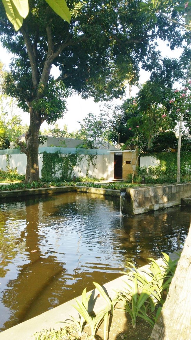 小道の先に　お池がまた出現。<br />お水をふんだんに使った敷地形成が気に入りました