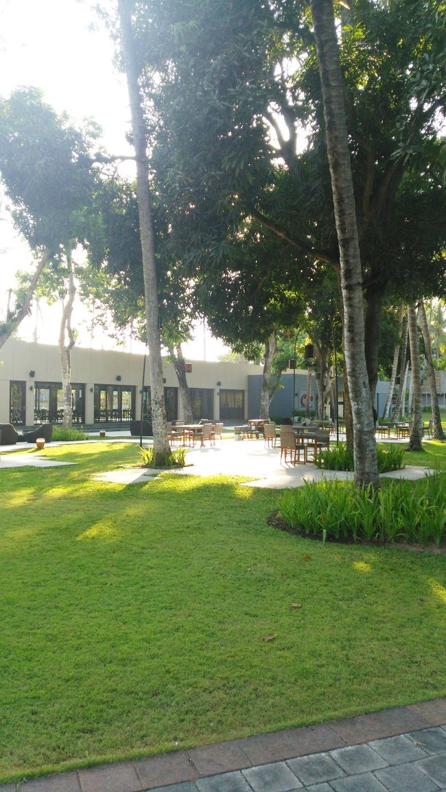 木陰でお食事を楽しむのは<br />とっても楽しそう。