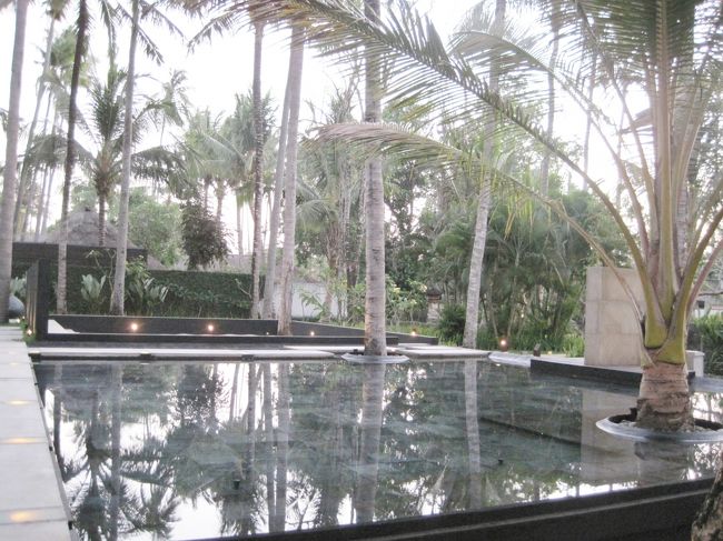 お池は深くはありません。<br />中にライトが見えたので<br />夜には　ライトアップされるのかな。<br />