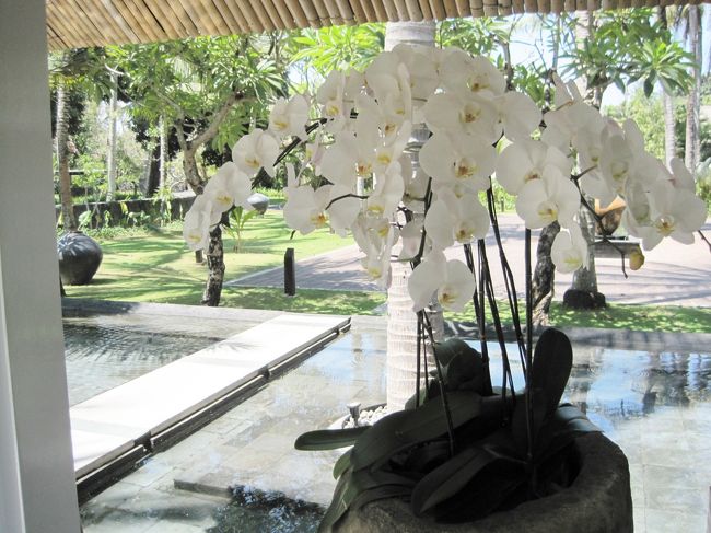 シンプルなレセプションでは<br />胡蝶蘭が　お迎えしてくれました。<br />