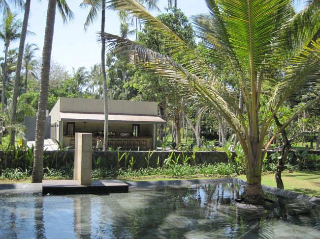 お池の向こうの景色もステキ。<br />ドコを切っても絵になるなあ。