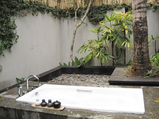 バスタブ横に　さっきの<br />バスアメニティを持ち込んで<br />お風呂にお湯を張るのです。<br /><br />葉っぱも風に流されて来ます<br />若干潔癖なトコロがあり<br />いつもは気になるところですが<br />全く気になりません<br /><br />ロケーションがステキってこんなにも人を変えるのであります