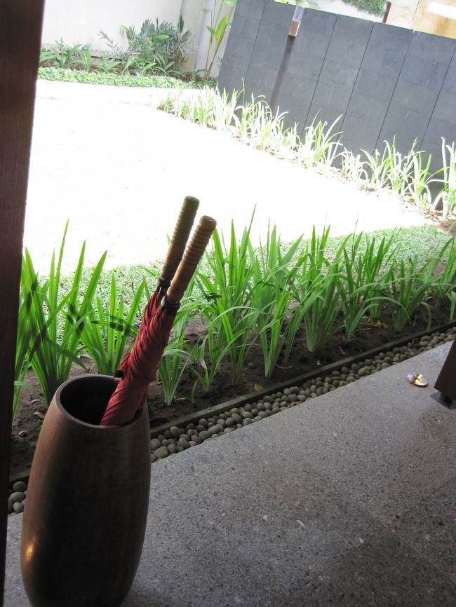 スコール用に傘も用意されております。<br />大きなサイズなのが嬉しい