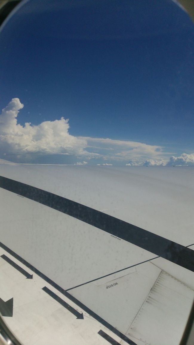 チャンギ乗り換えも無事過ごし<br />日本に帰ります。<br /><br />キレイな空と雲。