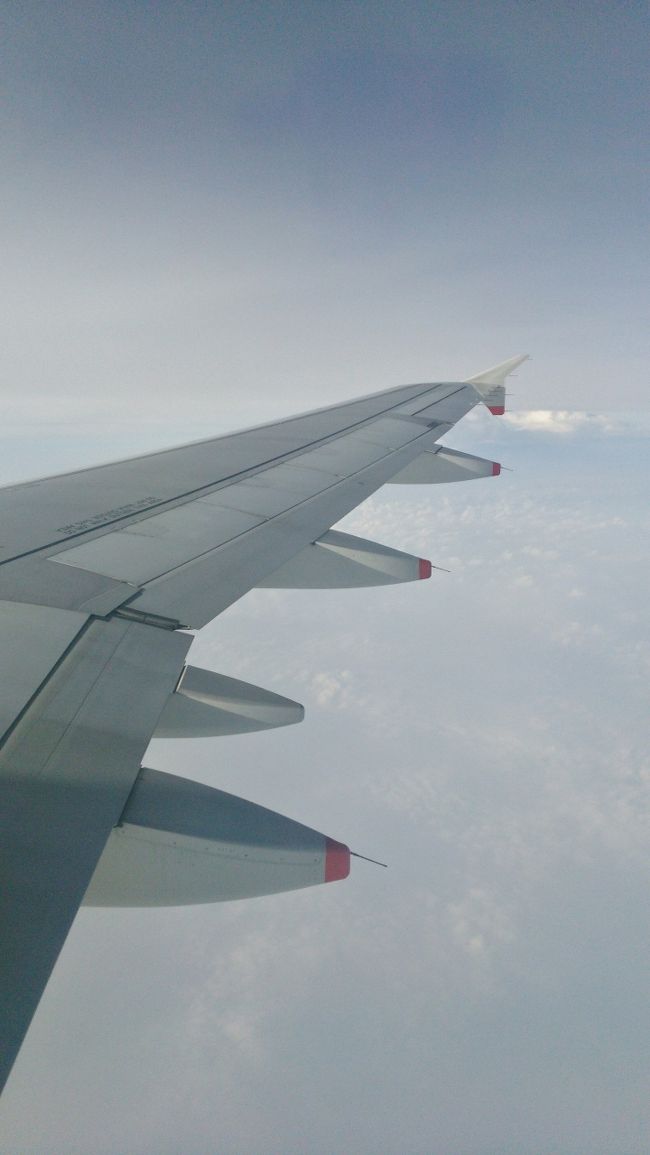 あっという間にクモの中です。<br />パーソナルモニターで<br />何か映画でも見ようと思いましたが<br />いつの間にか寝ていました。