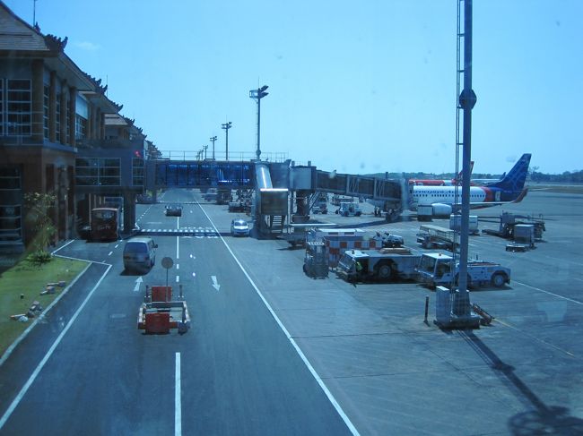 他のエアラインもングラライ空港に乗り入れています。<br />飛行機が並んでいる雰囲気が好き?