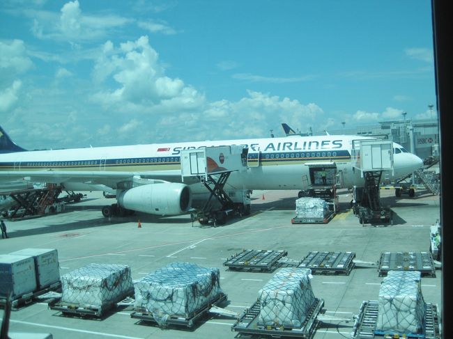 時間が来たので<br />乗り場へ向かいます。<br /><br />人気のシンガポールエアライン。<br />コンテナを運んでいるトラックは何故かテンションあがります