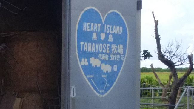 東筋から灯台へ向かう途中にある　TAMAYOSE牧場