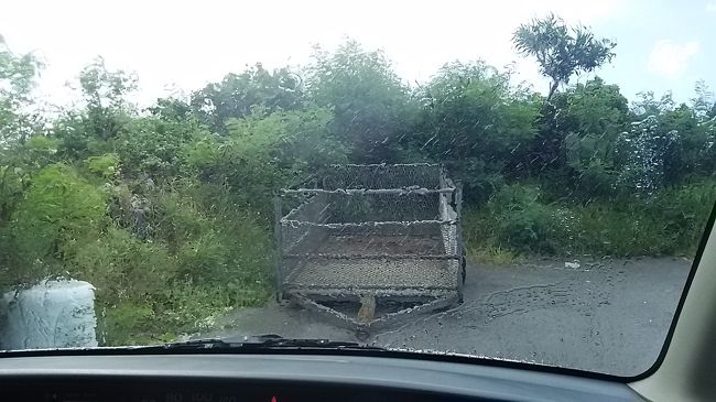 突然の雨<br /><br />びしょ濡れです