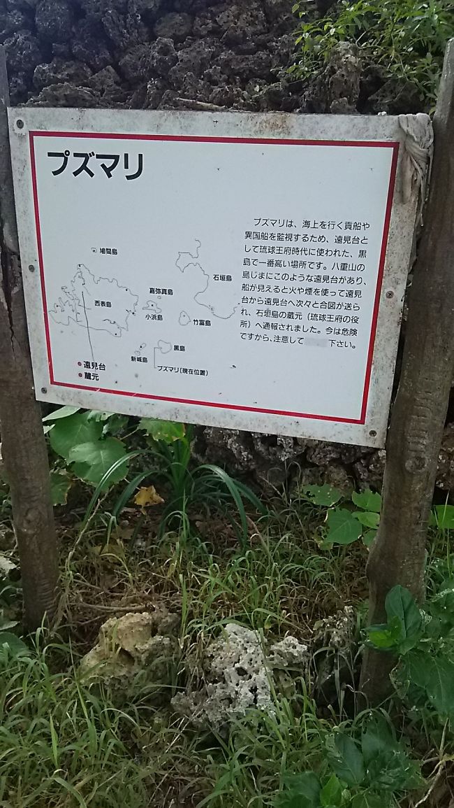 雨も上がり　今度は宮里海岸<br /><br />プズマリ