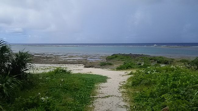 海辺まで歩きます、と　また雨が降り出しました。