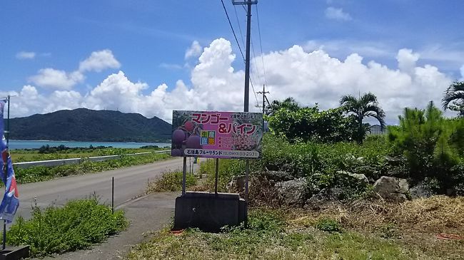 パシフィックレンタカーで車を借り　島内ドライブ<br /><br />今年はマンゴーが例年より１ヶ月遅れの成長で品数が出回っていないです