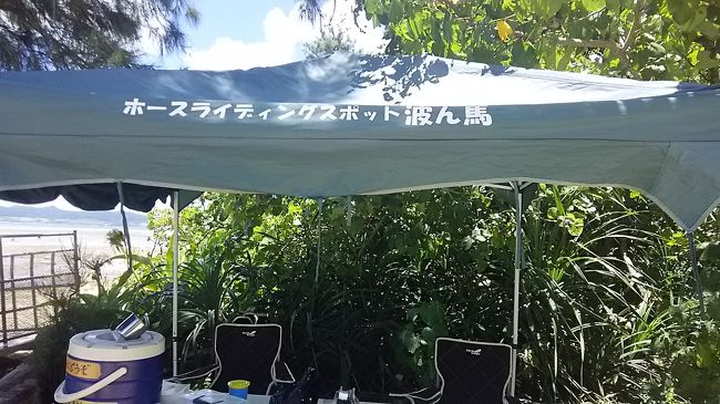 おばあさんたちにサプライズで乗馬体験を予約しておきました、が、嫌がる嫌がる　なんとかなだめ乗馬
