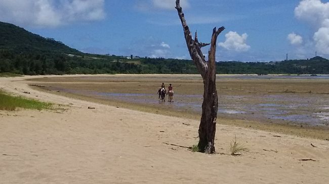 約２０分楽しんで？くれたようです<br /><br />