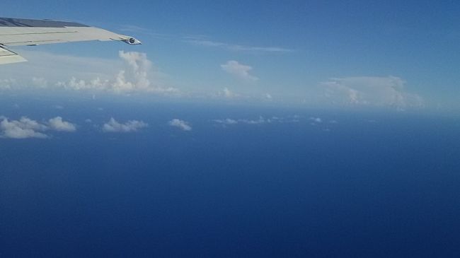 ではまた９月に来ます