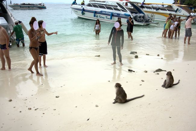 モンキービーチ。