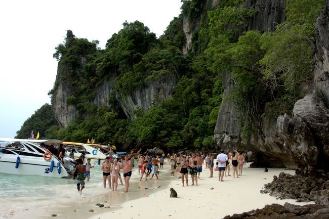 モンキービーチの様子。
