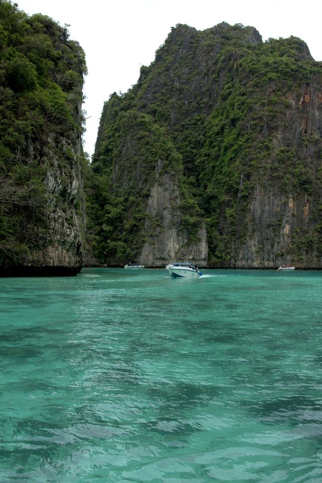 グリーンの海。