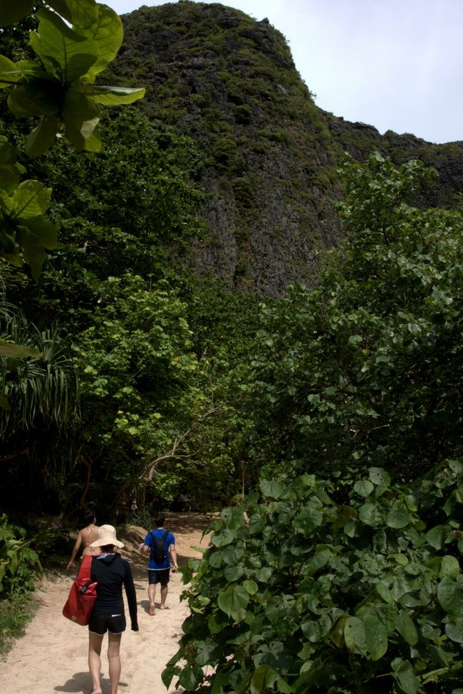 散策コースがあるようなので行ってみます。