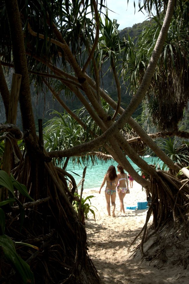 森を抜けてビーチに、