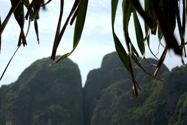 ちなみに森の中の日陰は涼しかったですが、<br /><br />蚊も結構いた。