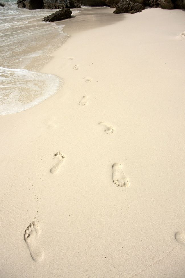 さて、<br /><br />そろそろ時間なので戻ります。