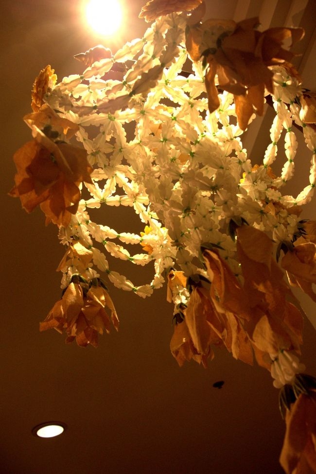 食後は一休みしてバングラ―通りに繰り出す予定でしたが、、、眠い。。<br /><br />ベッドから出られず。。